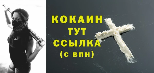 стаф Абаза