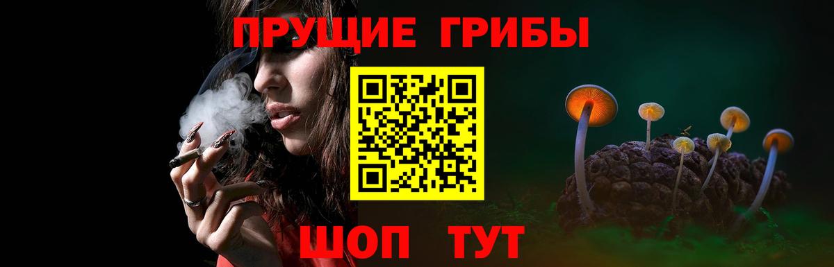 Алапаевск  Псилоцибиновые грибы Cubensis  Вход с VPN 